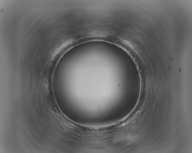 X0000062831307200601201602