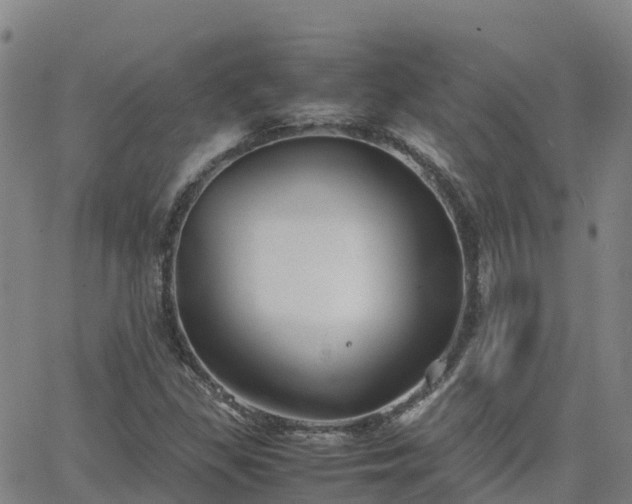 X0000062831309200601201602