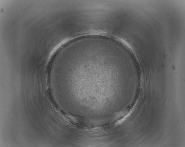 X0000062831310200601201602