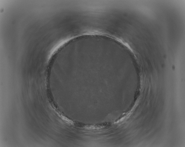 X0000062831311200601201603