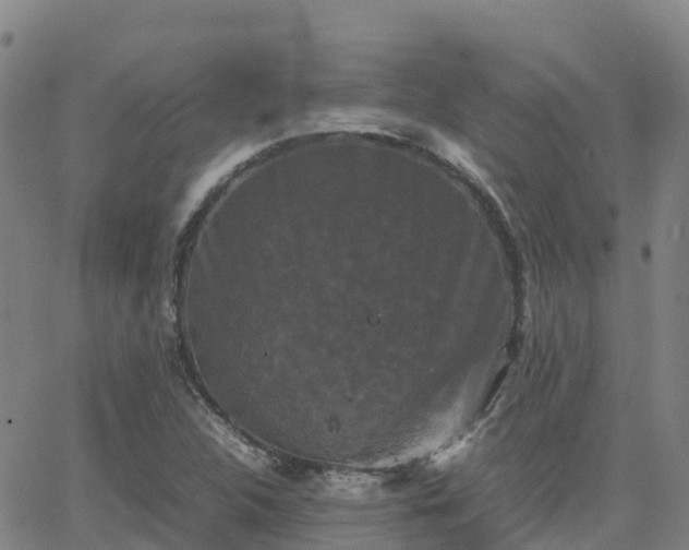 X0000062831312200601201603