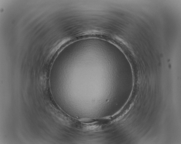 X0000062831313200601201603