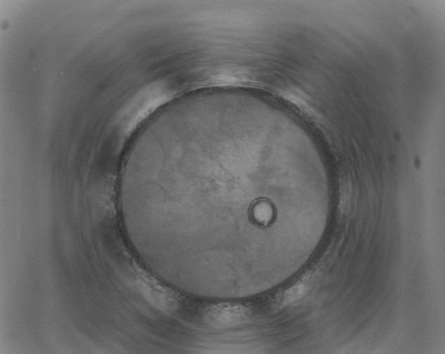 X0000062831314200601201603