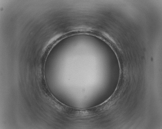 X0000062831315200601201603