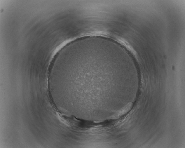 X0000062831316200601201603