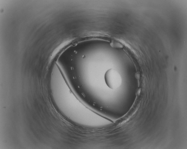 X0000062831317200601201603