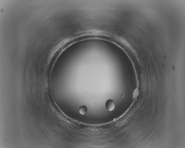 X0000062831318200601201603