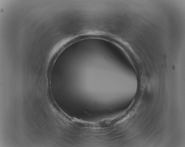 X0000062831319200601201603