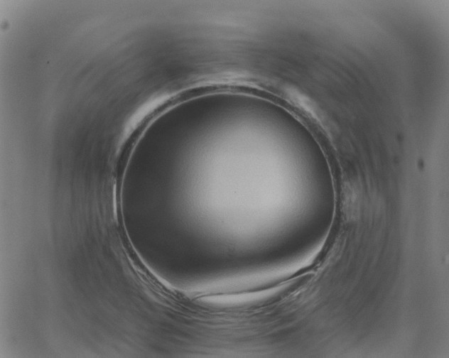 X0000062831320200601201603