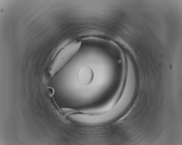 X0000062831321200601201603