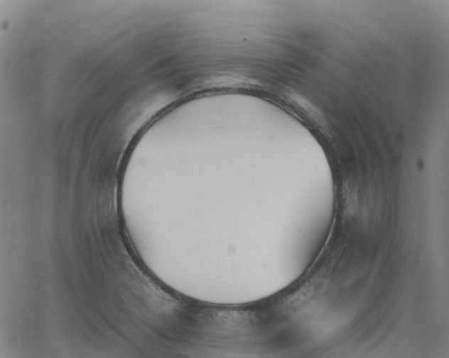 X0000062831322200601201603