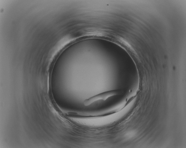 X0000062831323200601201603