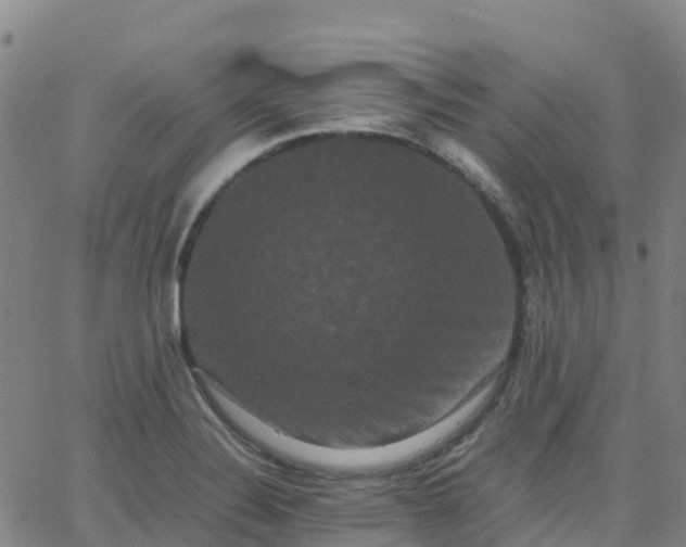 X0000062831324200601201603