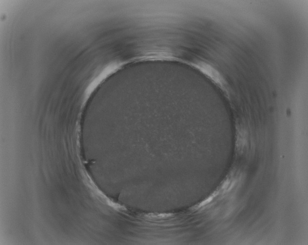 X0000062831325200601201603