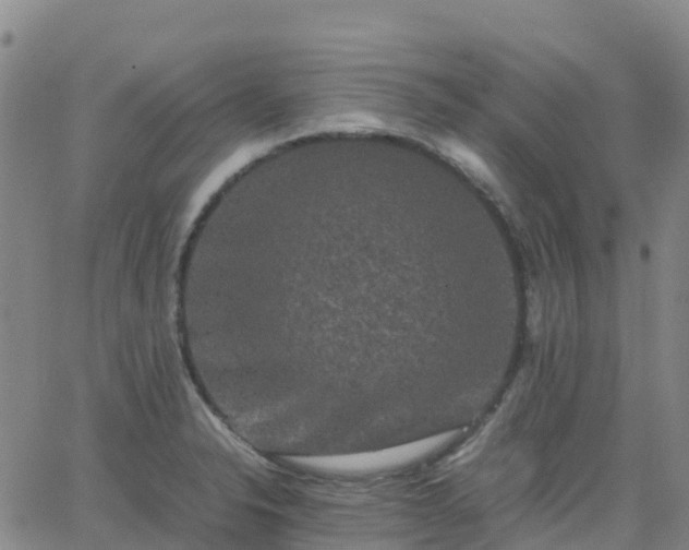 X0000062831326200601201603