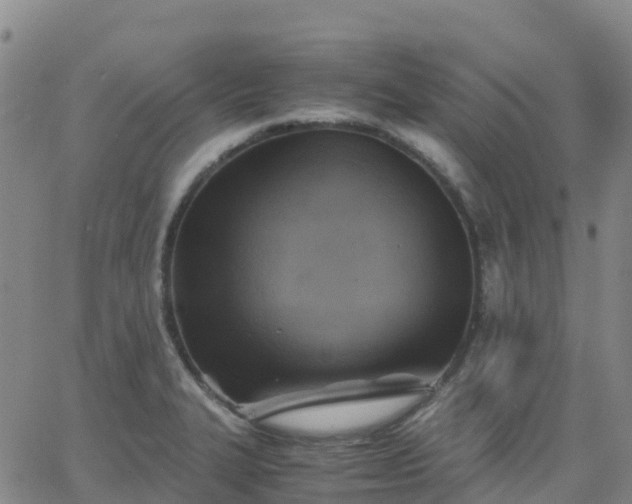 X0000062831327200601201603