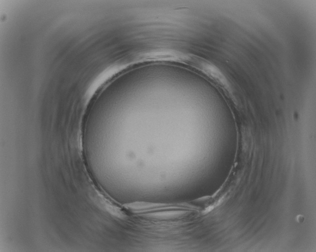 X0000062831328200601201603