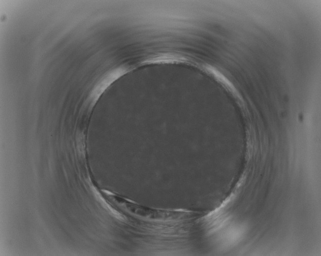 X0000062831329200601201603