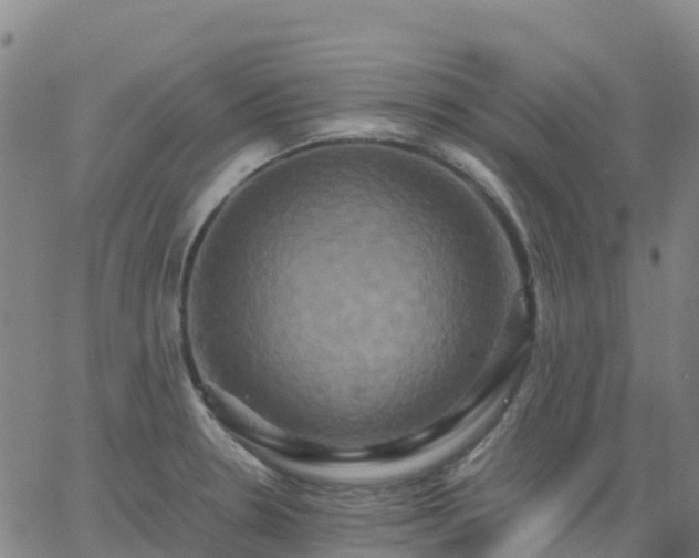 X0000062831330200601201603