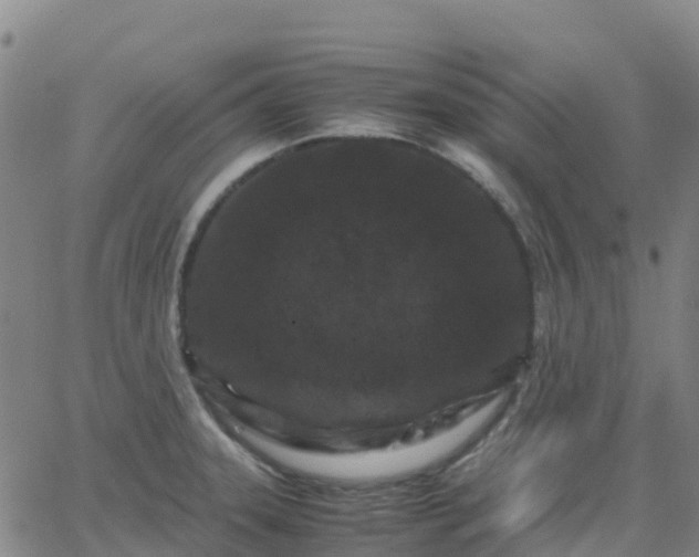 X0000062831331200601201603