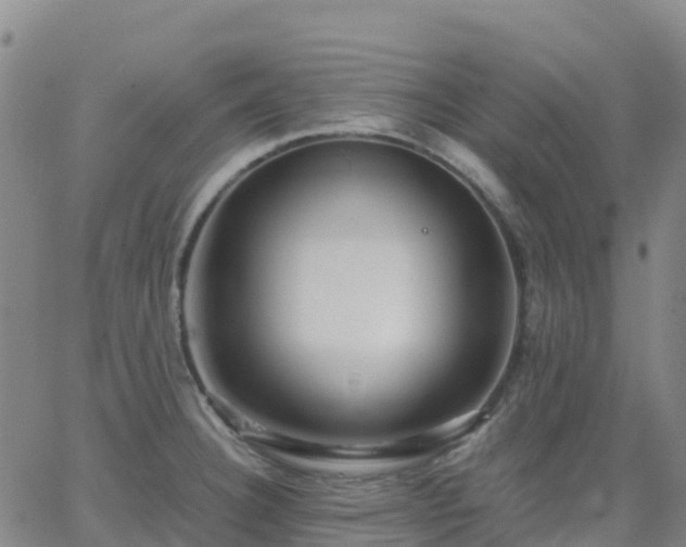 X0000062831332200601201603