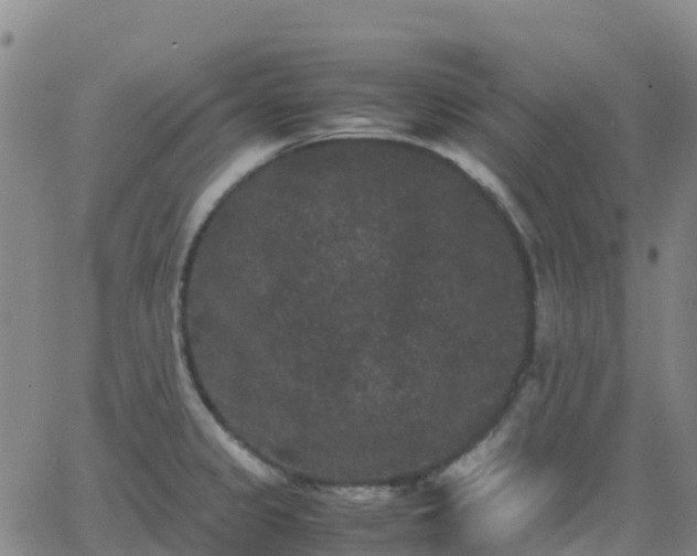 X0000062831333200601201603