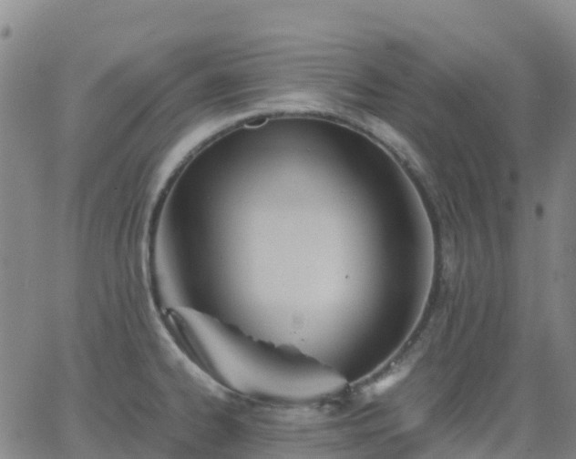 X0000062831334200601201603