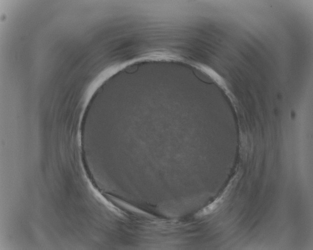 X0000062831335200601201603