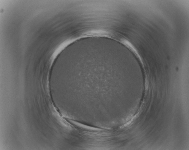 X0000062831336200601201603