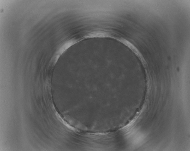 X0000062831337200601201603