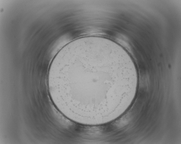 X0000062831338200601201603