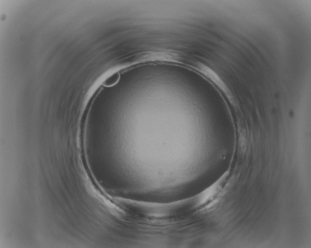 X0000062831339200601201603