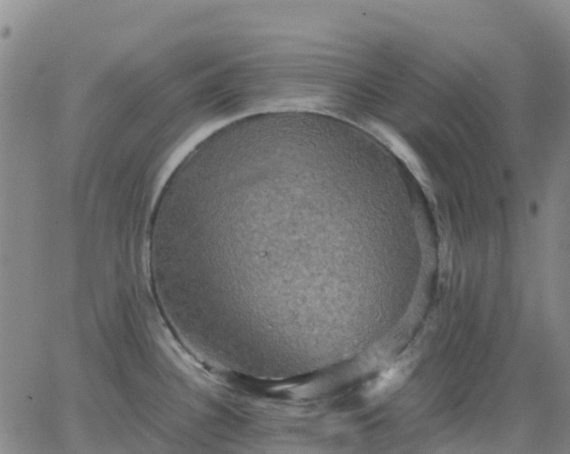 X0000062831340200601201603