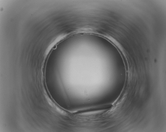 X0000062831341200601201603