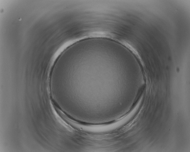 X0000062831342200601201603