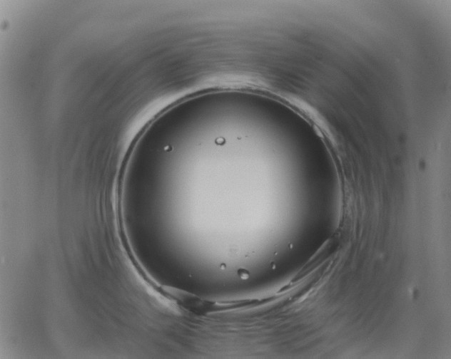 X0000062831343200601201603