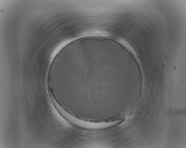 X0000062831344200601201603