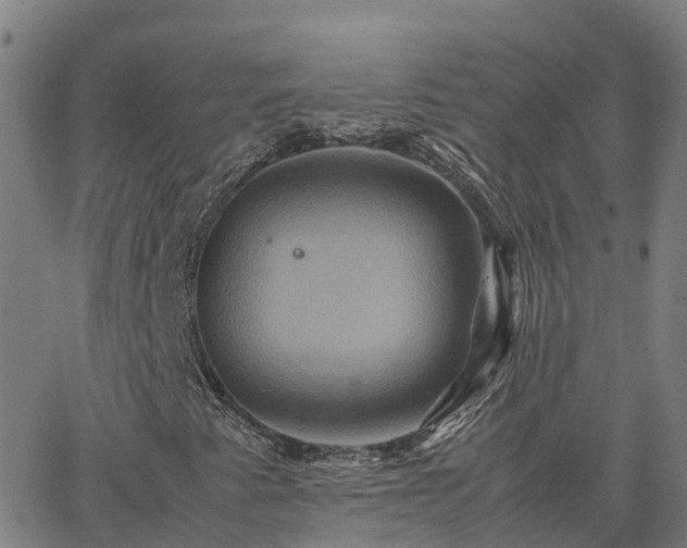 X0000062831345200601201602