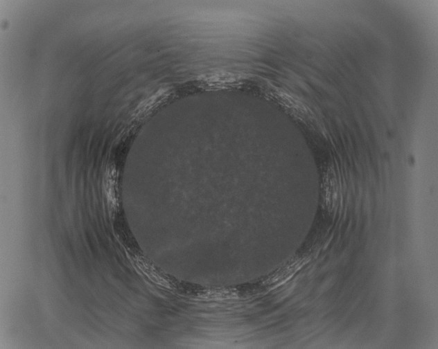 X0000062831346200601201602