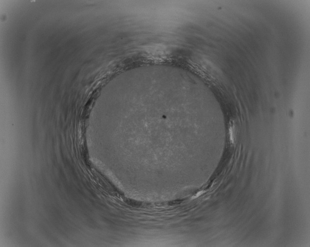 X0000062831347200601201602