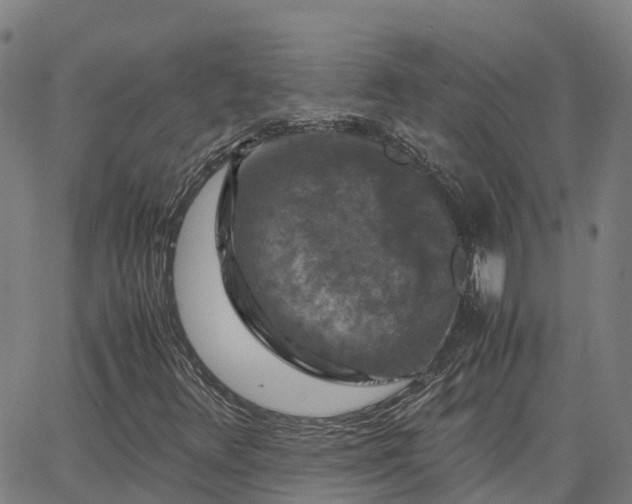 X0000062831348200601201602