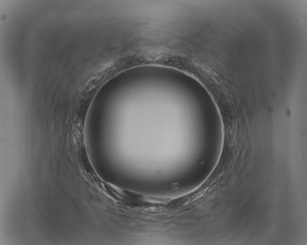 X0000062831349200601201602