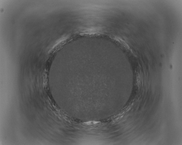 X0000062831350200601201602