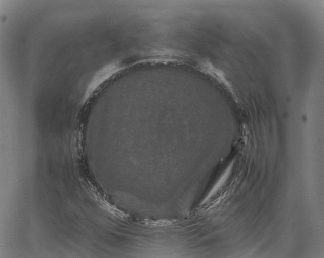 X0000062831352200601201602