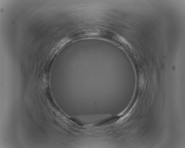 X0000062831353200601201602