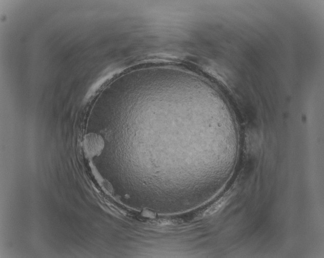 X0000062831355200601201602