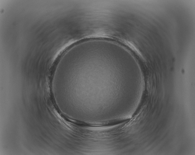 X0000062831356200601201602