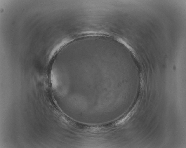 X0000062831357200601201602