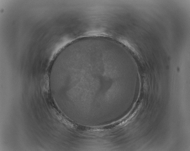 X0000062831358200601201602