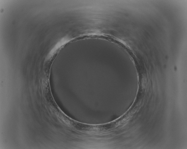 X0000062831359200601201602